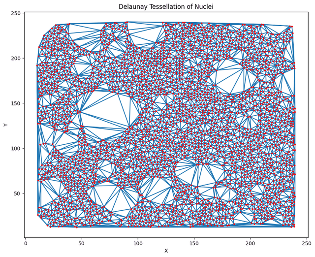 Delaunay Triangulation
